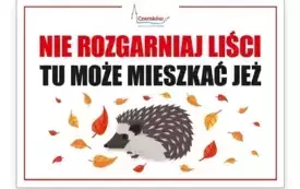 jez1