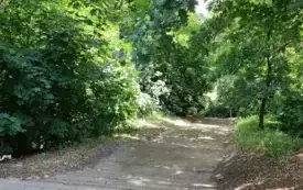 laz_gora_krzyzowa_7