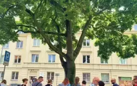 20240619_101232x