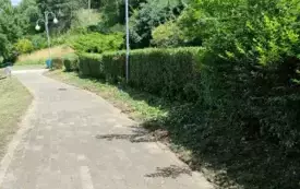 laz_gora_krzyzowa_10