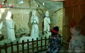 20241220_171805_wm