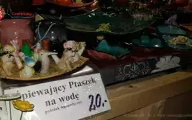 20241220_174330_wm