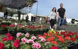 Galeria aktualności AgroTargi z rodziną 2025 - podsumowanie wydarzenia. 7