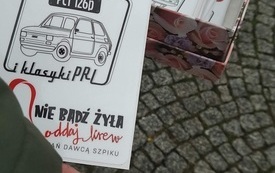 Kolejny dzień kampanii  23