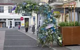 Galeria aktualności V edycja Festiwalu kwiat&oacute;w - przygotowania i oficjalne otwarcie.  49