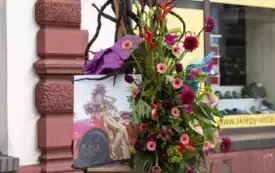 Galeria aktualności V edycja Festiwalu kwiat&oacute;w - przygotowania i oficjalne otwarcie.  55