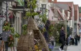 Galeria aktualności V edycja Festiwalu kwiat&oacute;w - przygotowania i oficjalne otwarcie.  62