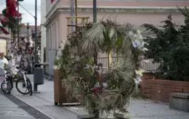 Galeria aktualności V edycja Festiwalu kwiat&oacute;w - przygotowania i oficjalne otwarcie.  66