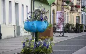 Galeria aktualności V edycja Festiwalu kwiat&oacute;w - przygotowania i oficjalne otwarcie.  72