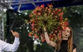Galeria aktualności Drugi dzień Festiwalu Kwiat&oacute;w pełen kolor&oacute;w i emocji! 17