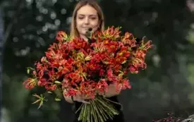Galeria aktualności Drugi dzień Festiwalu Kwiat&oacute;w pełen kolor&oacute;w i emocji! 18