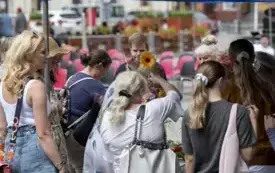 Galeria aktualności Festiwal Kwiat&oacute;w 2025 &ndash; Gratulacje dla Zwycięzc&oacute;w Konkurs&oacute;w 15