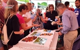 Pociąg tursytyczny DREZYNIARZ w Czarnkowie - 04.06.2022. 42