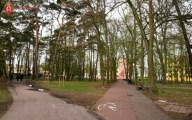 DSC00925_wm
