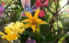 DSC02292_wm