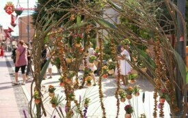 DSC02289_wm