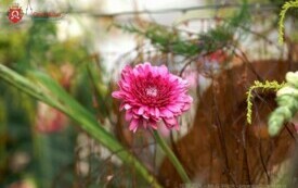DSC02257_wm