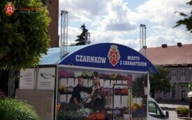 DSC02179_wm