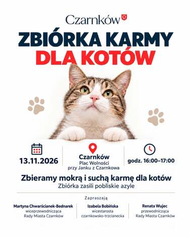 Zbi&oacute;rka karmy dla kot&oacute;w w Czarnkowie