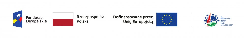 pasek z&nbsp;logotypami unijnymi