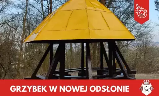 Zdjęcie do Grzybek w nowej odsłonie!