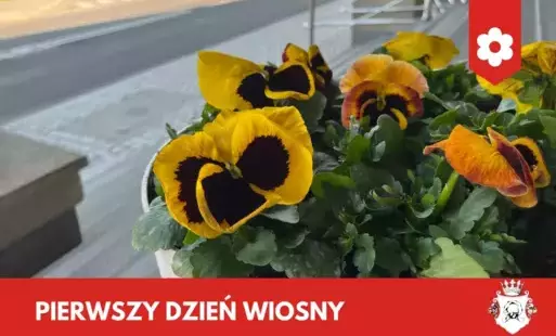 Zdjęcie do Pierwszy Dzień Wiosny!