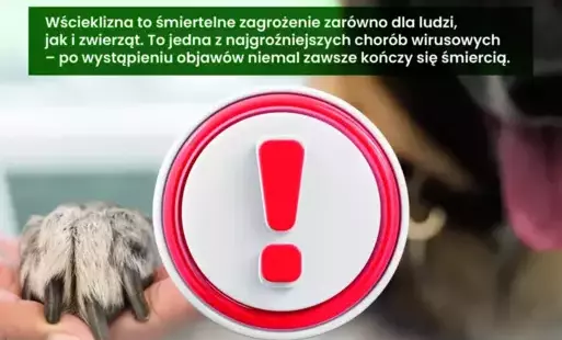 Zdjęcie do Wścieklizna - śmiertelne zagrożenie dla ludzi i zwierząt.