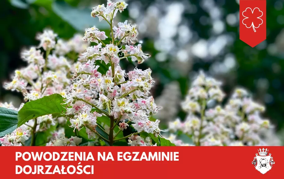 Zdjęcie do Powodzenia na egzaminie dojrzałości!