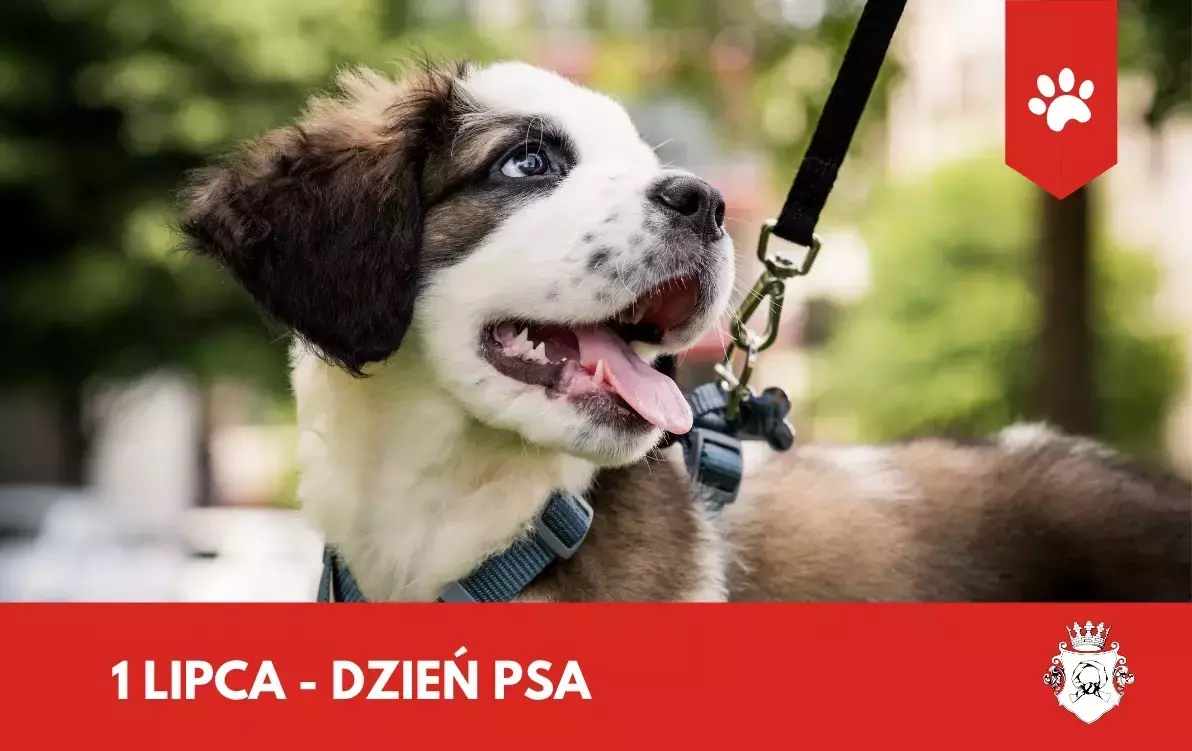 Zdjęcie do Dzień Psa 2025
