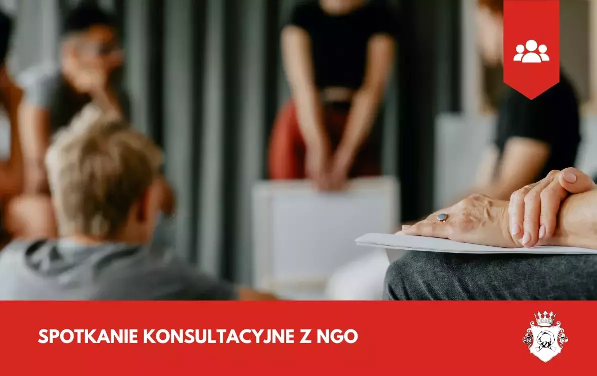Zdjęcie do Spotkanie konsultacyjne z NGO
