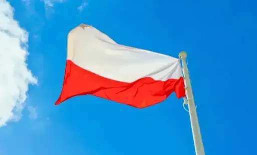 Zdjęcie do 11 listopada &ndash; Narodowe Święto Niepodległości w Czarnkowie