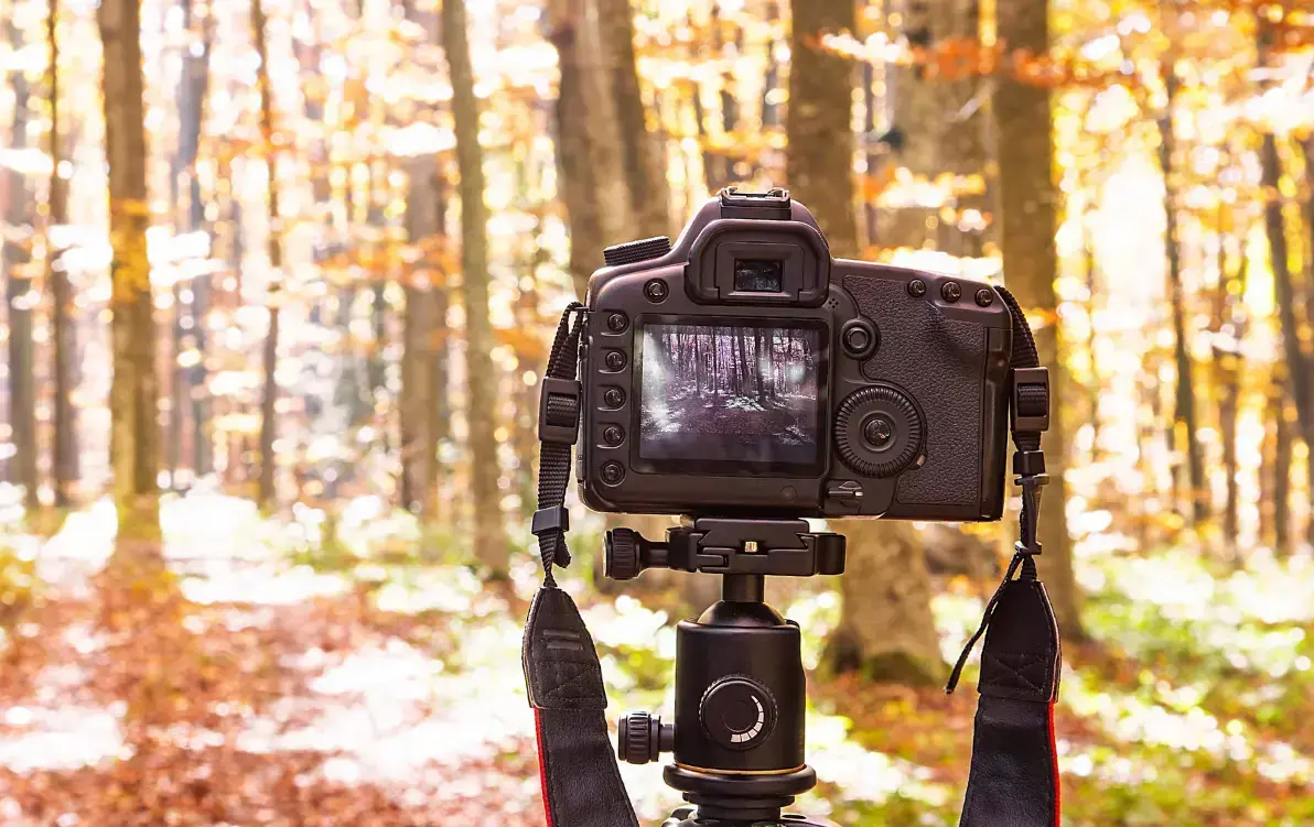 Zdjęcie do XVI Powiatowy Konkurs Fotograficzny im. Mariana Bakinowskiego &bdquo;Między Drawą a Notecią&rdquo;