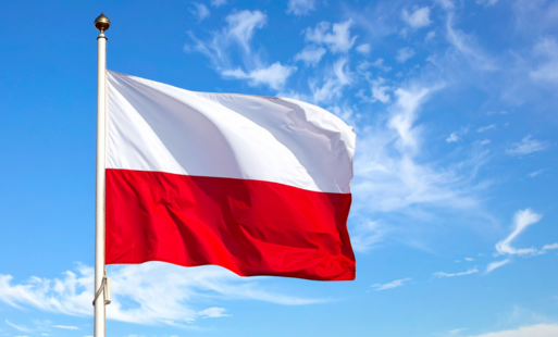 Zdjęcie do Obchody 107. Rocznicy Powstania Wielkopolskiego w Czarnkowie