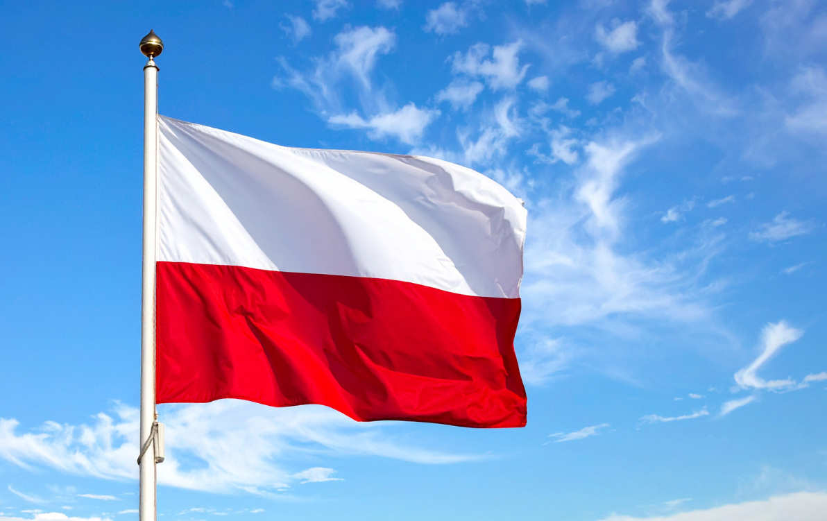 Zdjęcie do Obchody 107. Rocznicy Powstania Wielkopolskiego w Czarnkowie