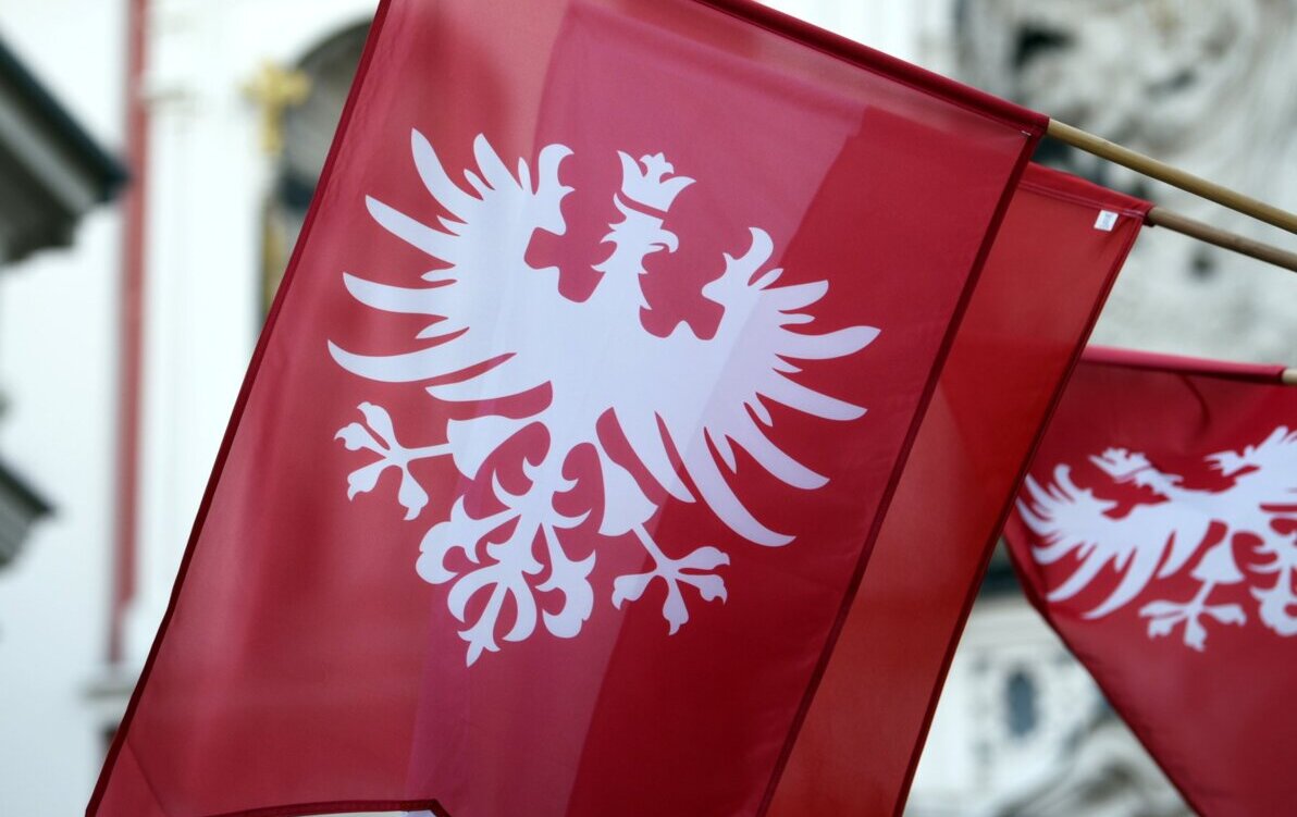 Zdjęcie do Uroczystość obchod&oacute;w Zakończenia Zwycięskiego Powstania Wielkopolskiego w Czarnkowie