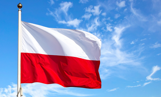 Zdjęcie do Narodowy Dzień Zwycięstwa