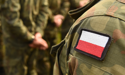 Zdjęcie do Święto Wojska Polskiego