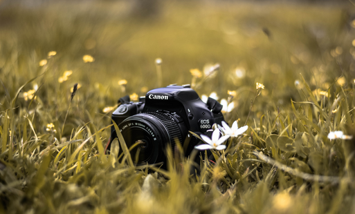Zdjęcie do Od wsp&oacute;lnych spotkań do własnej pracowni fotograficznej