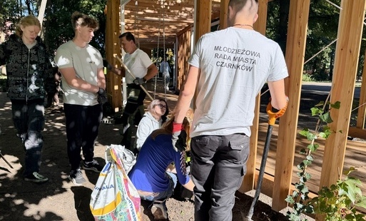 Zdjęcie do Pergola w Parku Staszica już gotowa. Zakończyliśmy także nasadzenia