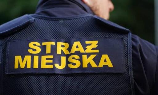 Zdjęcie do Dzień Straży Miejskiej