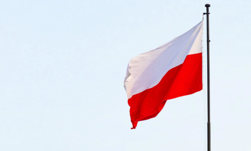 Zdjęcie do Narodowe Święto Niepodległości w Czarnkowie