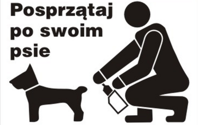 Zdjęcie do OBOWIĄZEK CZY ZDROWY ROZSĄDEK &nbsp;&ndash; DLACZEGO WARTO SPRZĄTAĆ PO SWOIM PSIE ?