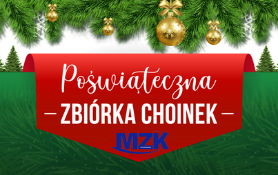 Zdjęcie do Poświąteczna zbi&oacute;rka choinek