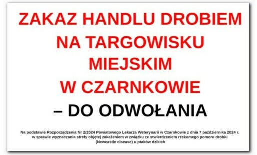 Zdjęcie do ZAKAZ HANDLU DROBIEM NA TARGOWISKO MIEJSKIM W CZARNKOWIE - do odwołania