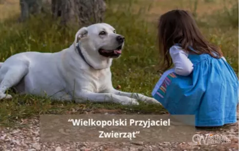Zdjęcie do Ogłoszenie Konkursu "Wielkopolski Przyjaciel Zwierząt&rdquo; &ndash; termin składania zgłoszeń upływa z dniem 28 lutego 2025 r.