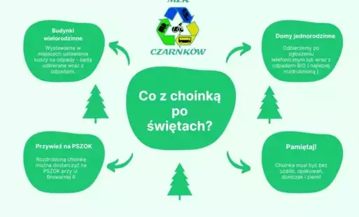Zdjęcie do Co zrobić z choinką po świętach?