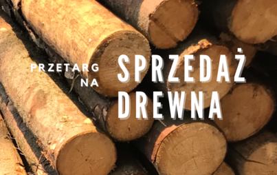 Zdjęcie do Sprzedaż drewna