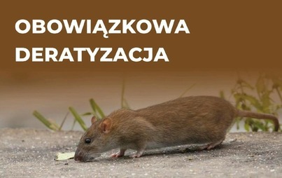 Zdjęcie do OBOWIĄZEK DERATYZACJI