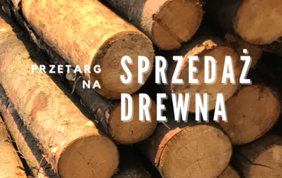 Zdjęcie do Przetarg na sprzedaż drewna