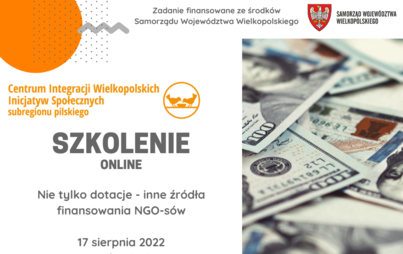 Zdjęcie do Szkolenie on-line pt. "Nie tylko dotacje - inne źr&oacute;dła finansowania dla NGO-s&oacute;w"